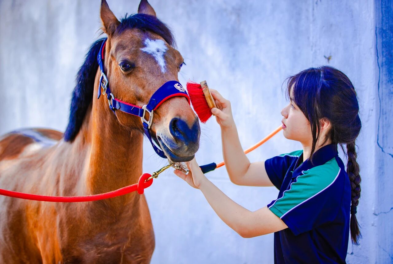 1767593024107730.jpg 微信图片_2025-12-23_161145_477.jpg