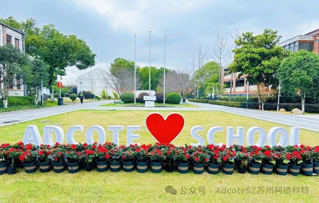 1774852975966838.jpg 微信图片_2026-03-30_133009_772.jpg